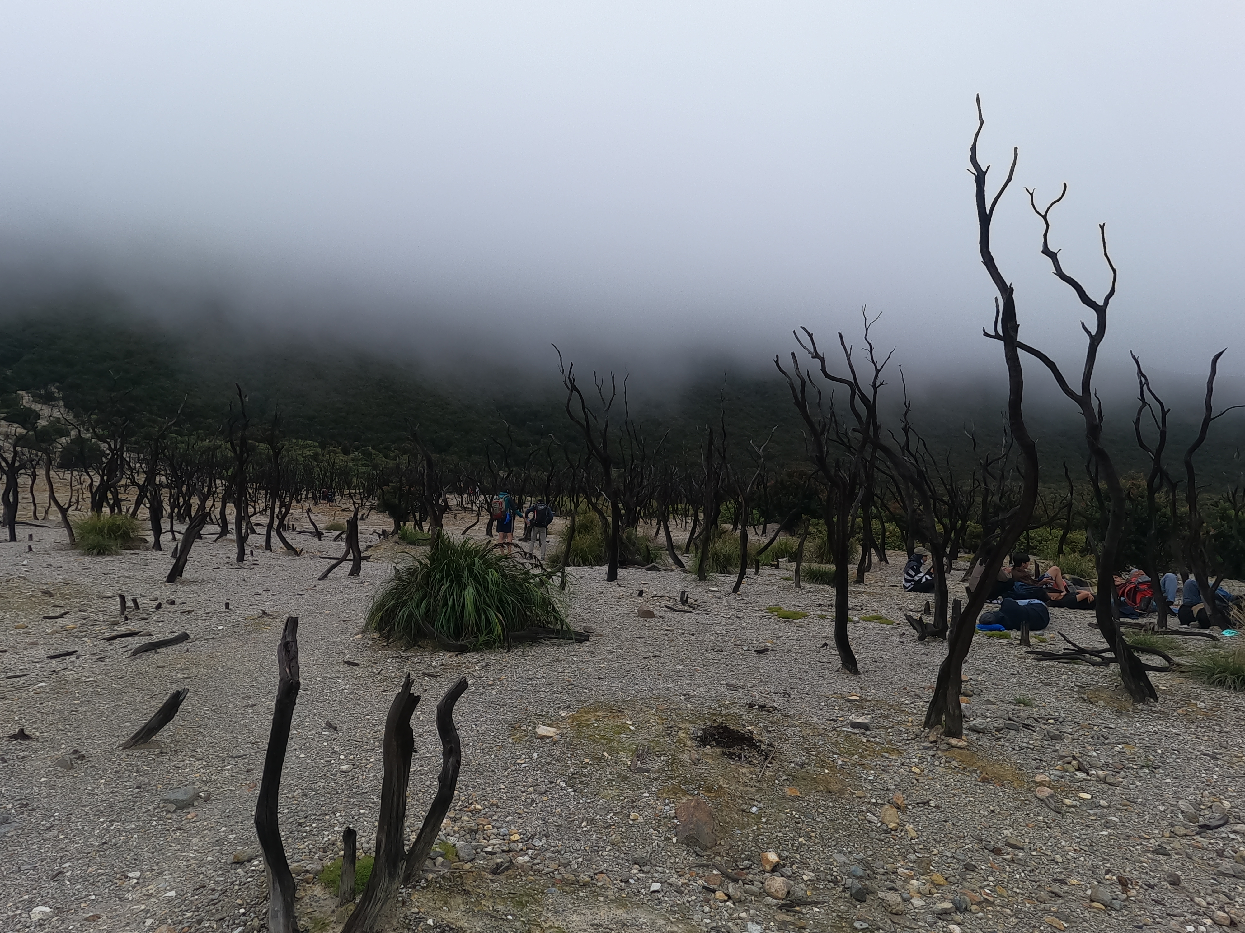 Gunung Papandayan