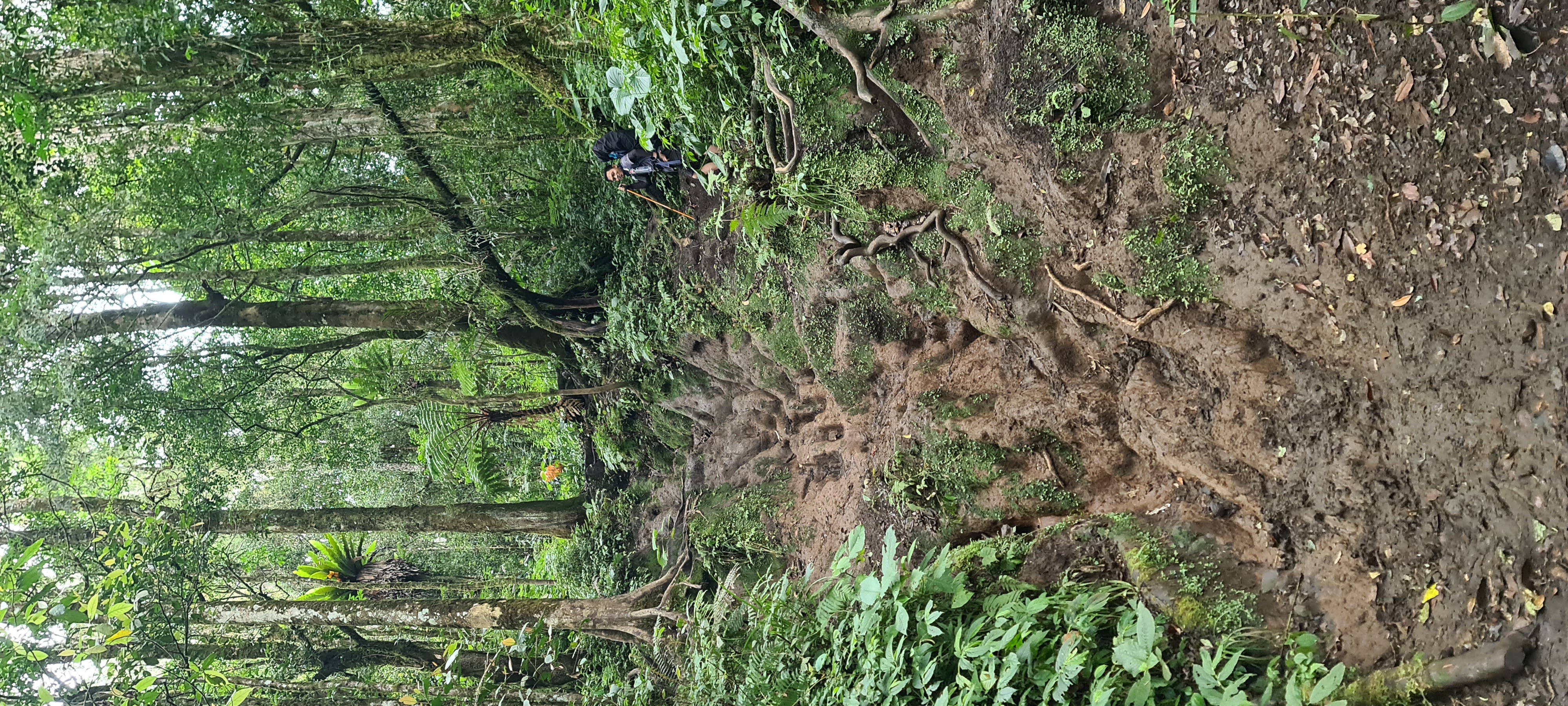 Jalur Pendakian Gunung Kerinci