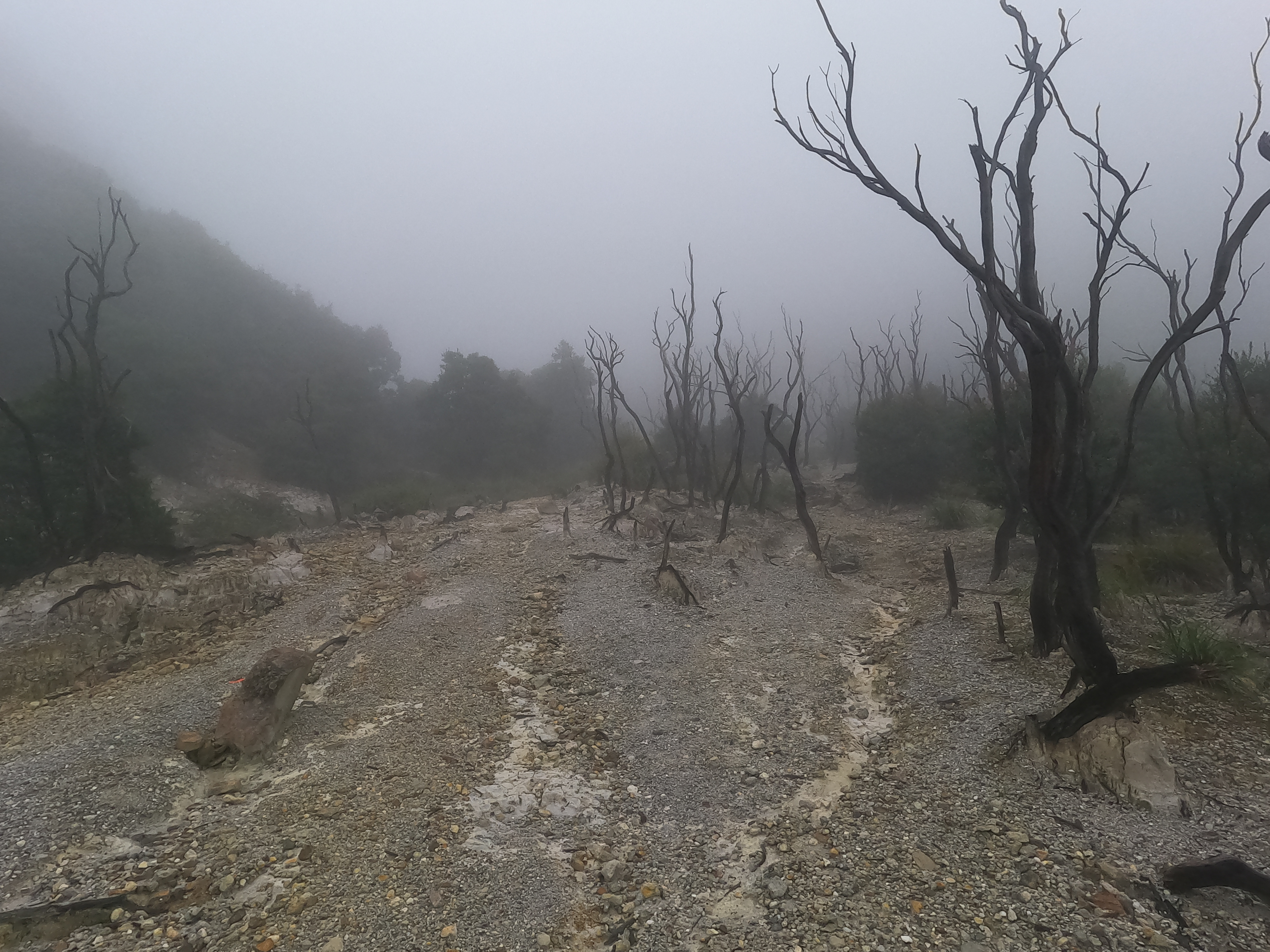 Photo 22: Untuk pulang kita melewati jalan yang sama kembali, namun kali ini kabut lebi tebal