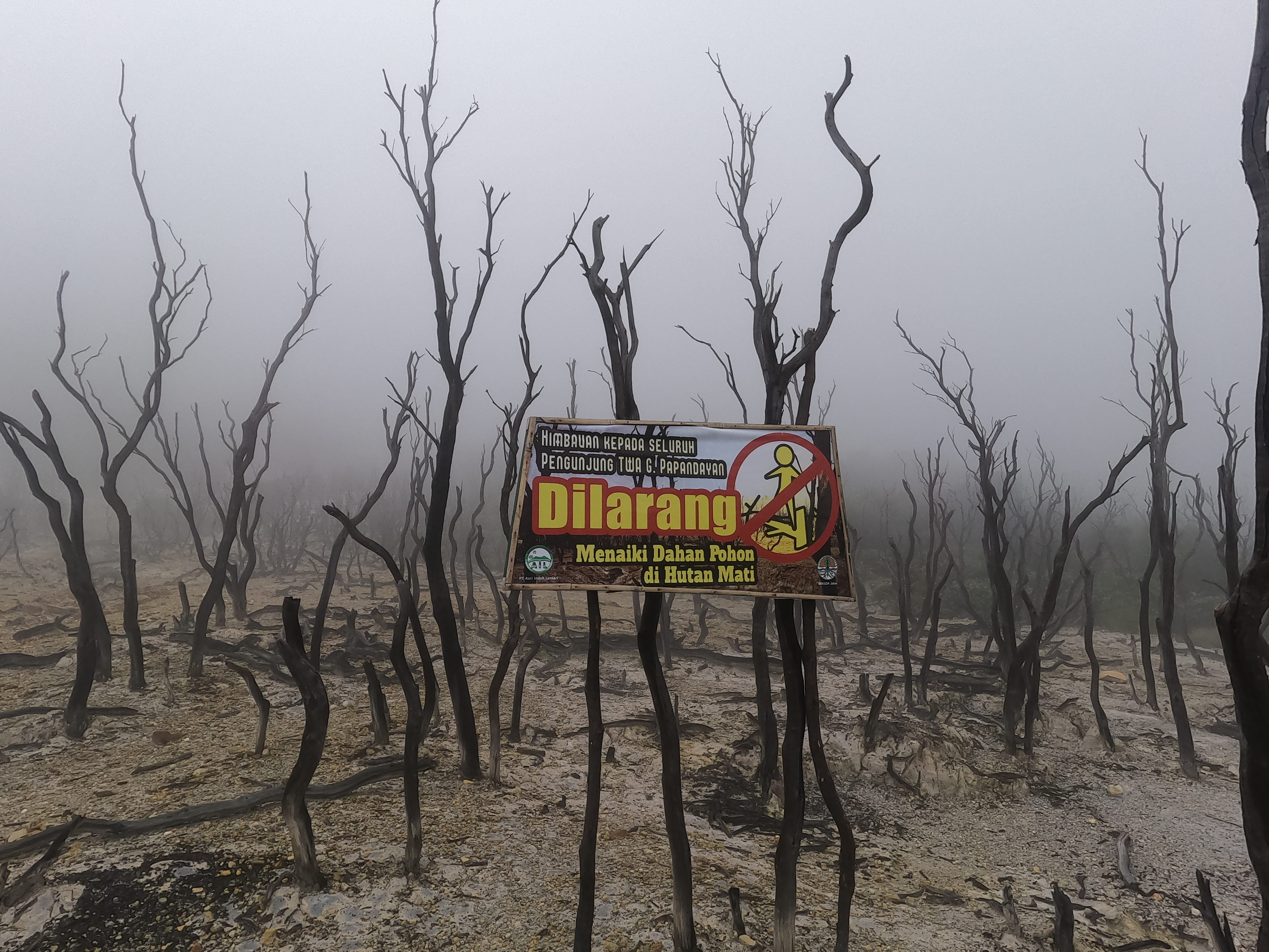 Photo 24: Larangan untuk menaiki dahan pohon di hutan mati, karena kondisinya yang sudah lama terbakar dan mulai lapuk dikhawatirkan akan terjadi kecelakaan