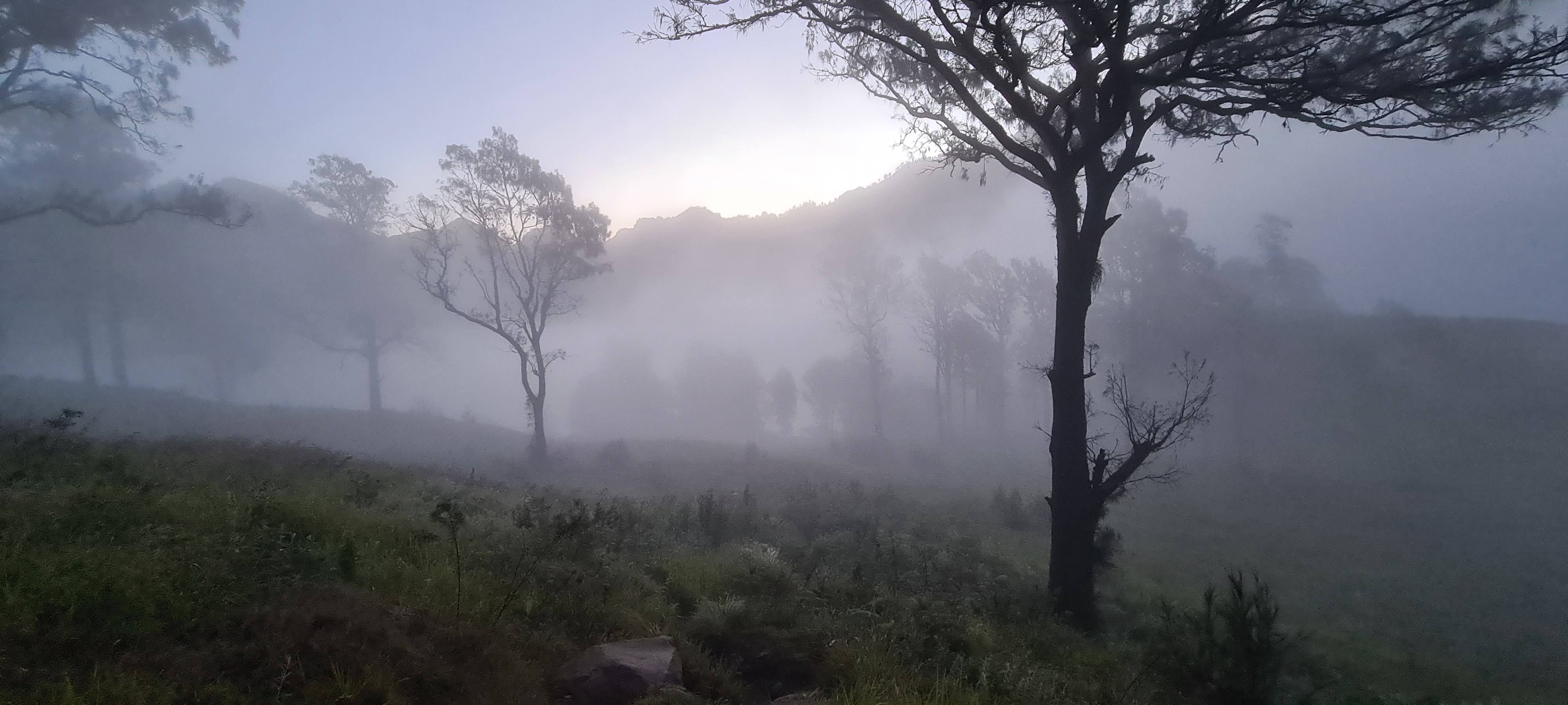 Rinjani 30/64: Pendakian ke-Puncak memakan waktu 7 jam, untuk turunnya sekitar 4 jam. Pukul 15.00 kita sudah tiba kembali di Plawangan. Setelah beristirahat sejenak kita melanjutkan perjalanan turun ke danau Segara Anak. Kabut sudah turun.