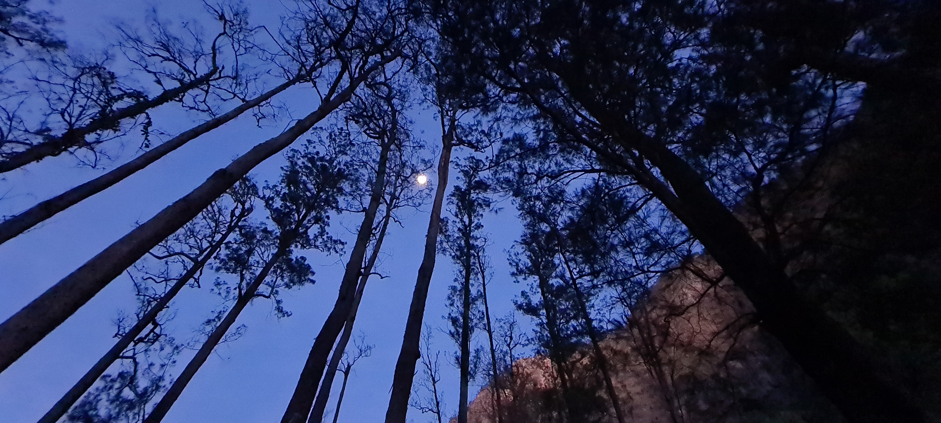 Rinjani 48/64: Camp kali ini dekat dengan hutan dan sungai. Masih ditemani full moon malam ini