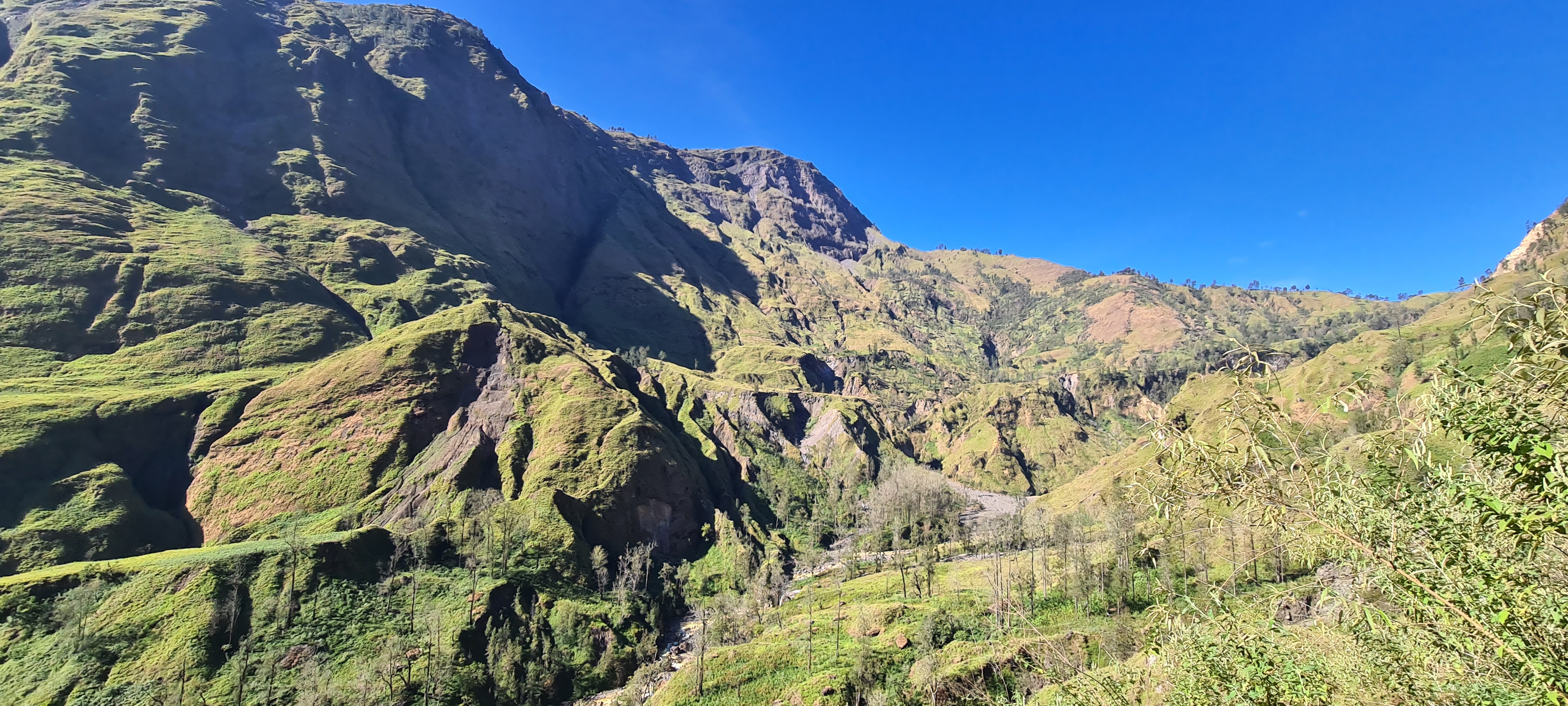 Rinjani 55/64: Kayaknya waktunya tepat yah, ke Rinjani bulan-bulan April-Mei. Rinjani baru dibuka setelah 3 bulan ditutup diawal tahun, awal musim kemarau. Pohon dan belukar masih hijau, cuaca juga bersahabat