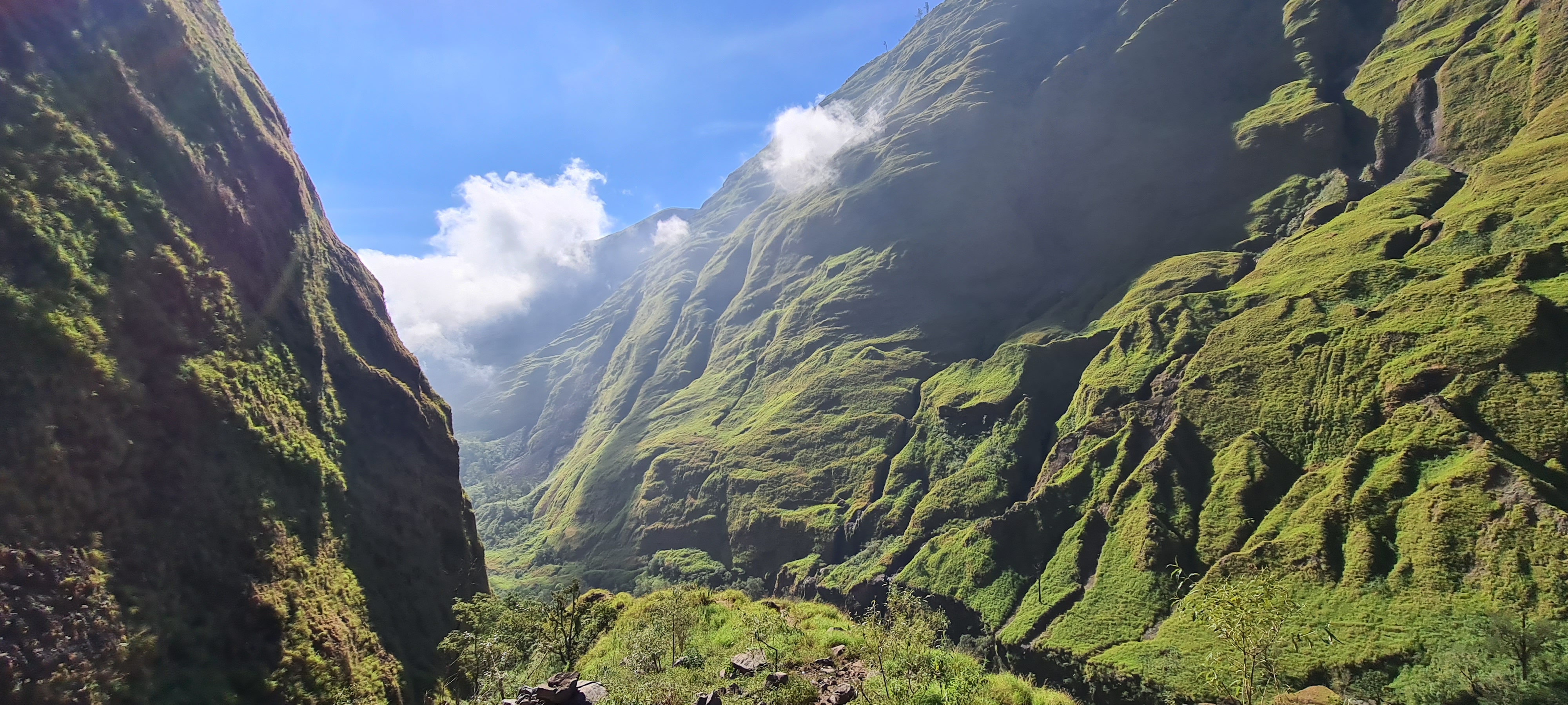 Rinjani 56/64: Walau sudah dua jam berjalan, capek ga terlalu berasa. Pemandangannya indah begini!