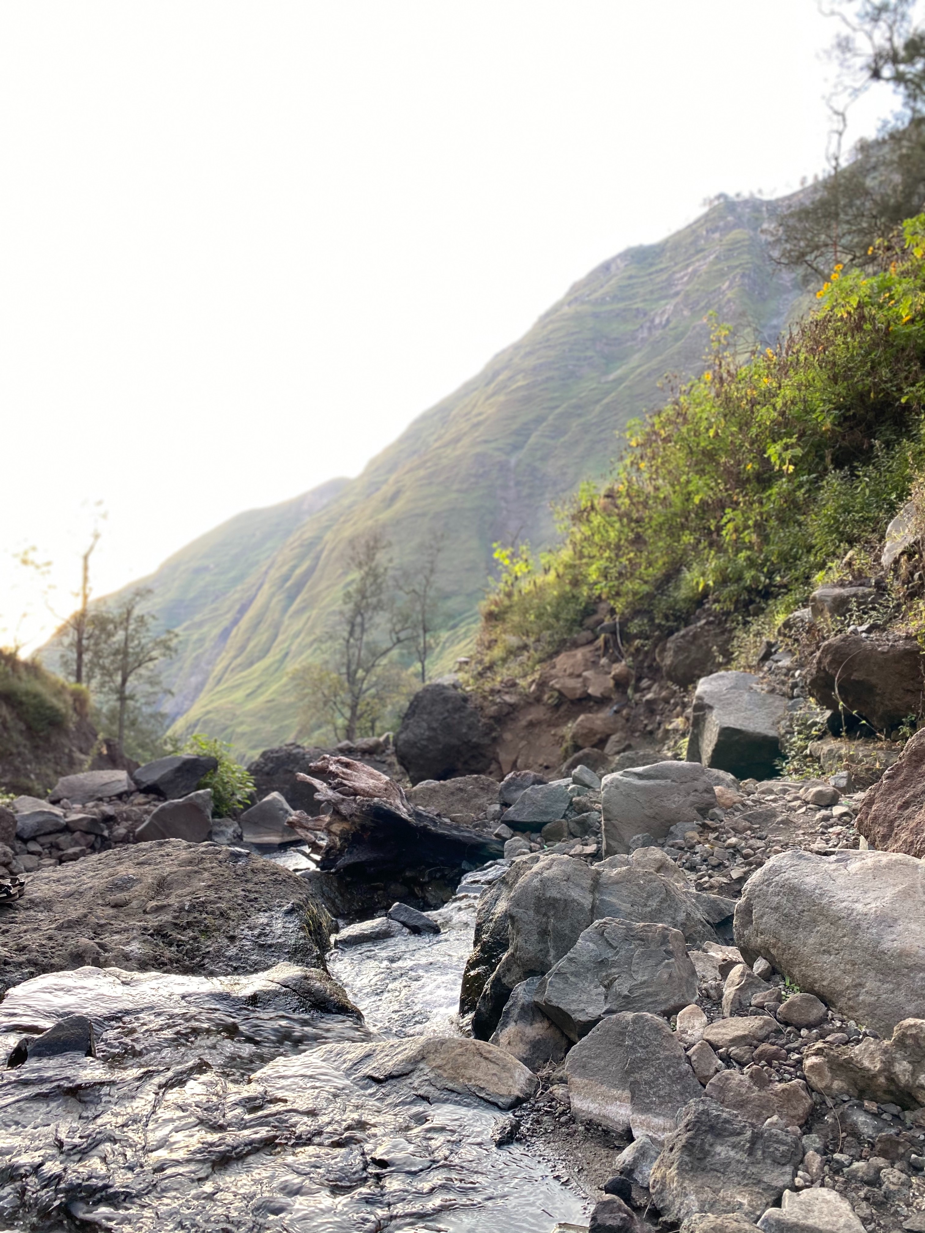 Rinjani 51/64: Bagian atas dari sungai, tempat kita mengambil air yang dipake untuk minum