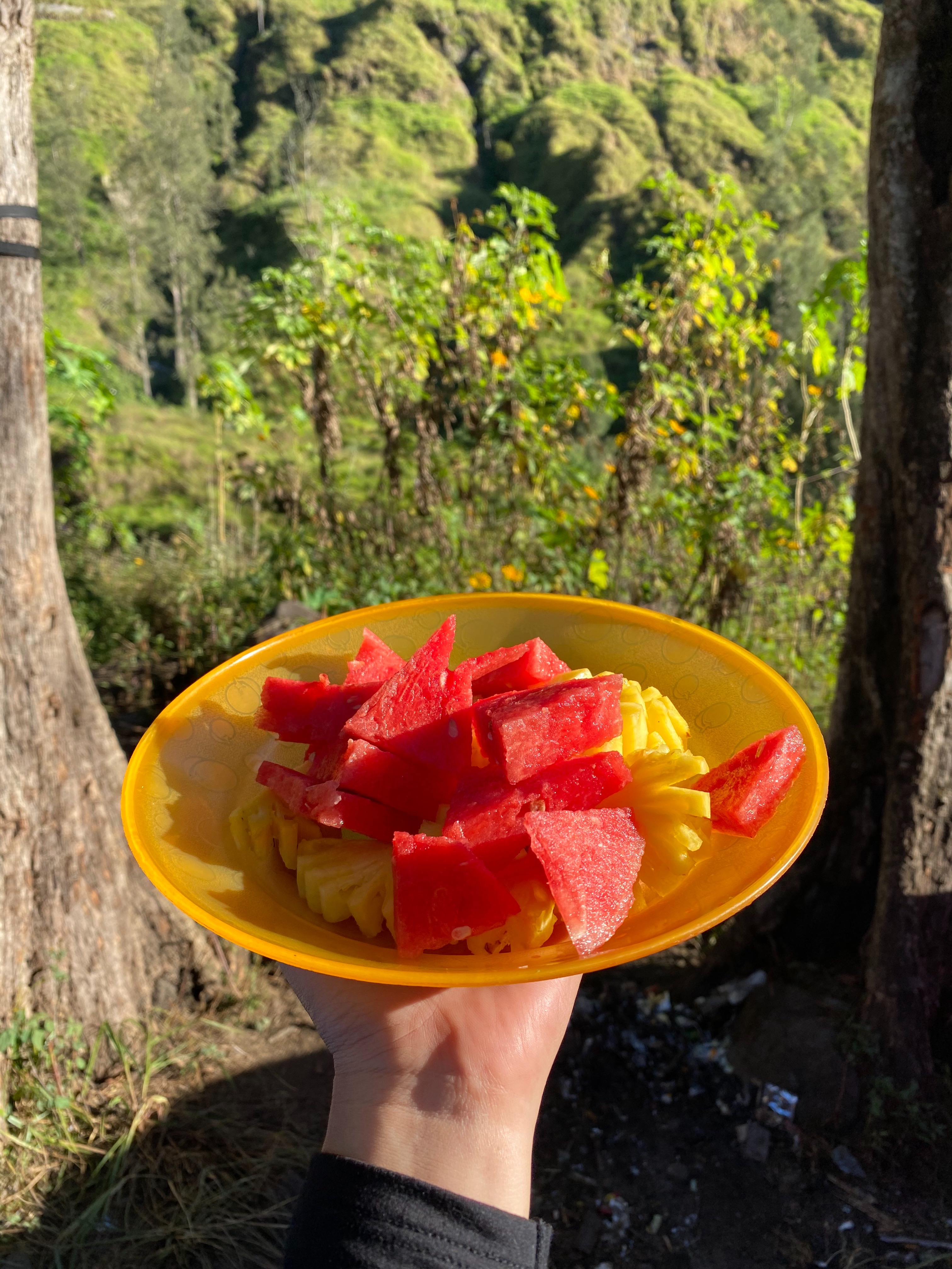 Rinjani 63/64: Tidak lupa juga buah-buahan segar!