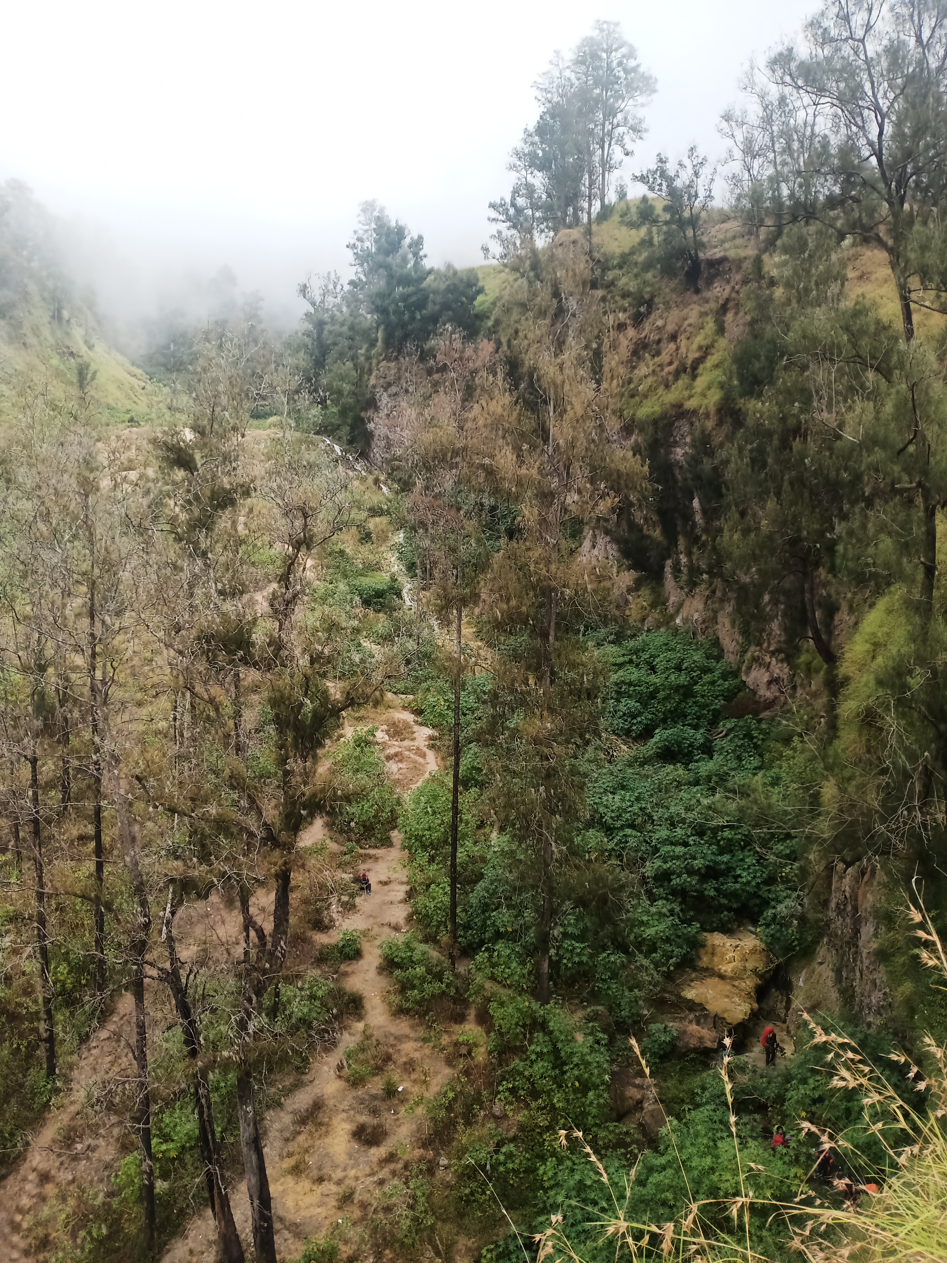 Rinjani 39/64: Trek yang harus kita lalui, perpaduan lembah, hutan dan lereng