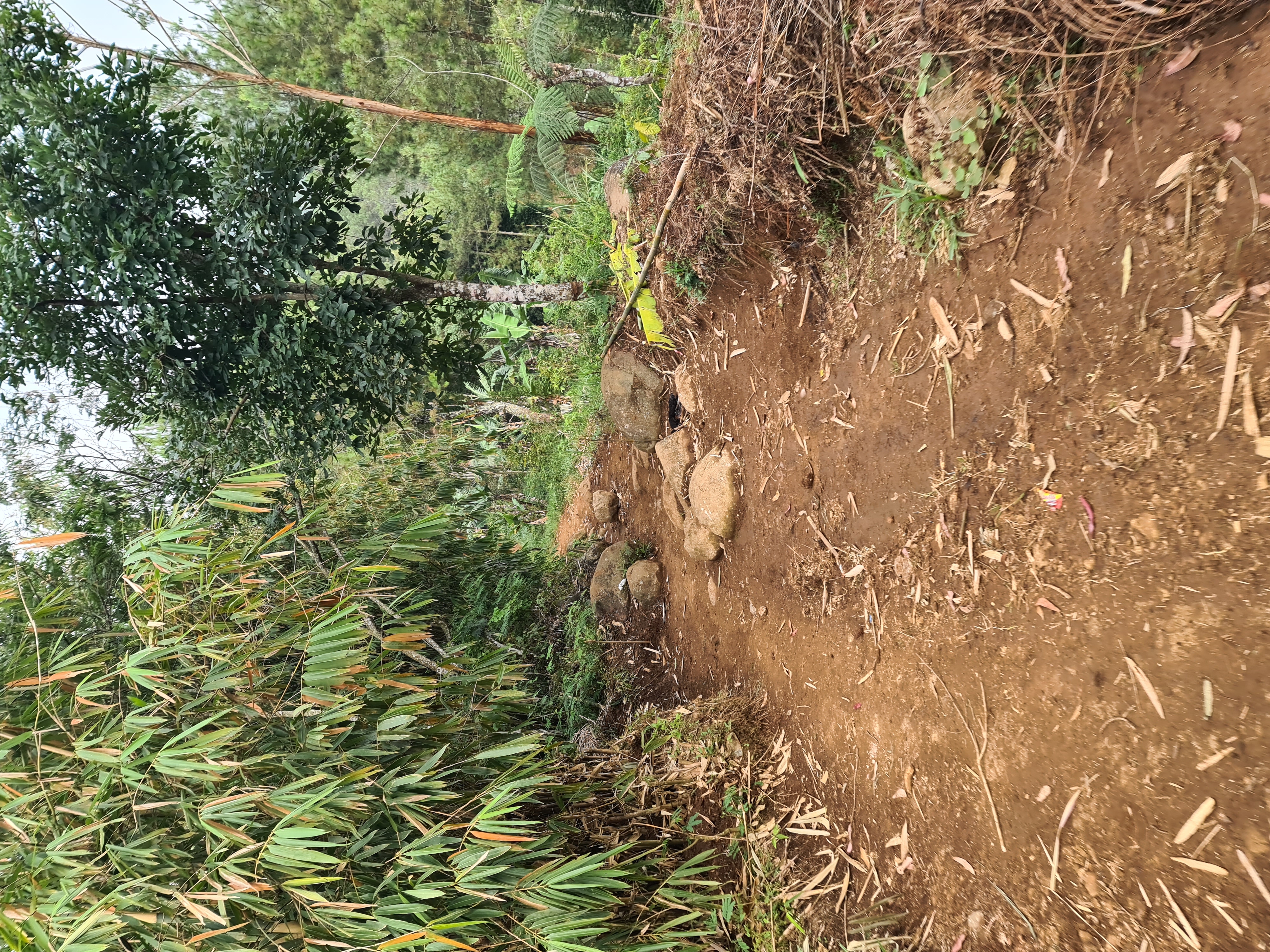 27/35 - Setelah jalan cukup jauh dan belum ketemu juga Sesar Lembangnya, kita sempat mengira kita salah jalan dan tersesat.