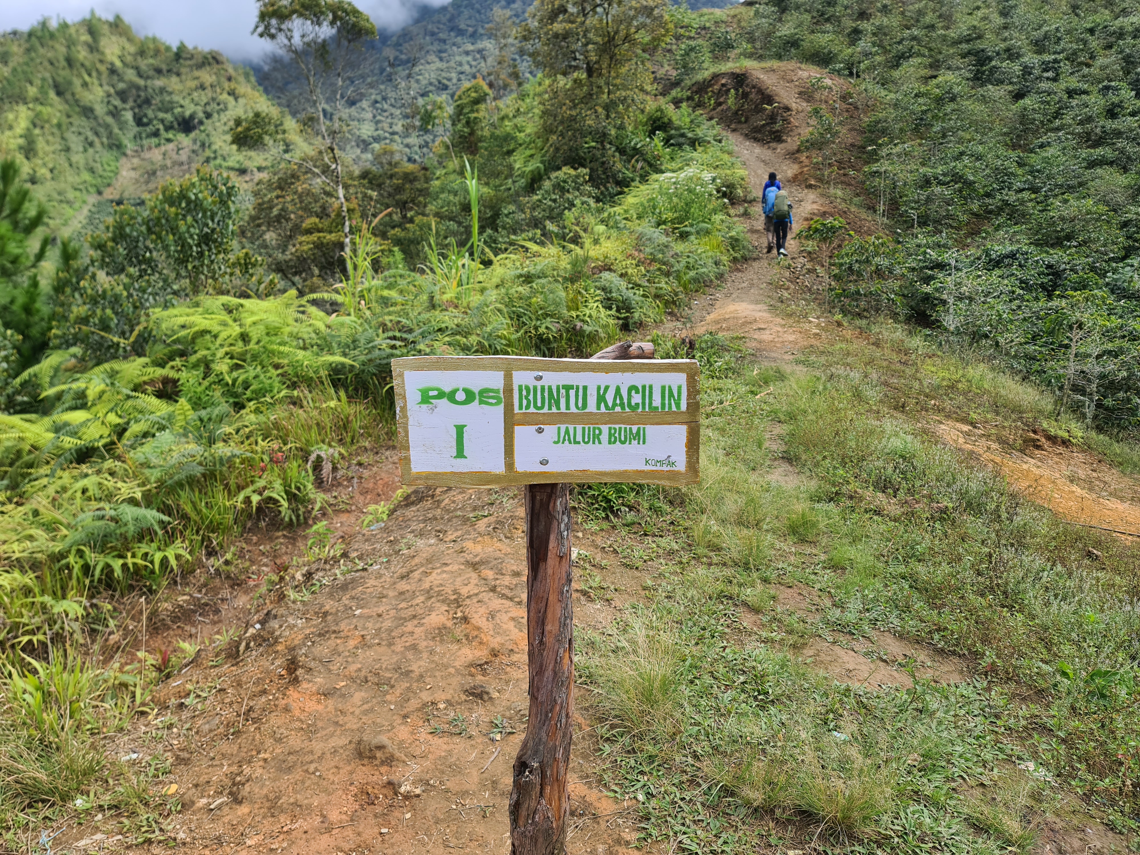 Latimojong 21/50 - Dari basecamp ke Pos 1, ditempuh dalam waktu satu setengah jam. Sejak dari basecamp, medannya sudah naik turun bukit