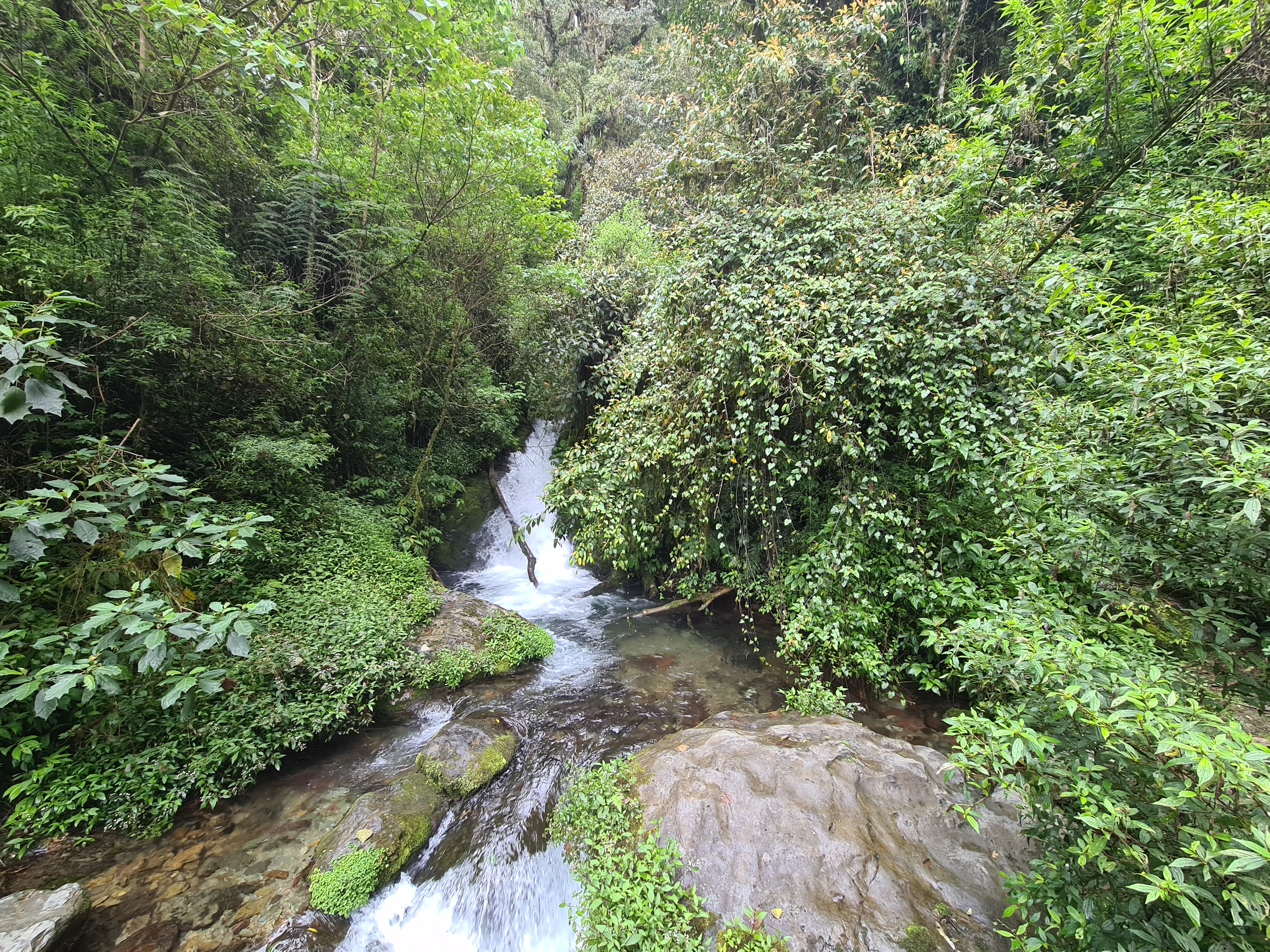 Latimojong 29/50 - Sungai kecil yang mengalir disebelah pos 2