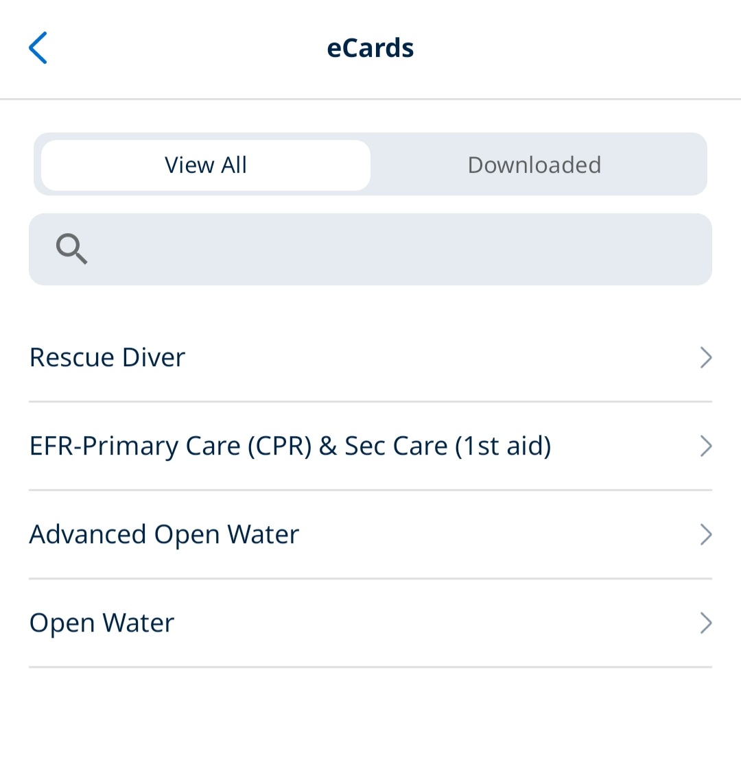 Tiga bulan di Bali, setidaknya aku sudah menyelesaikan cita-citaku untuk mendapatkan Sertifikat Selam dan mencapai Level 3, Padi Rescue Diver