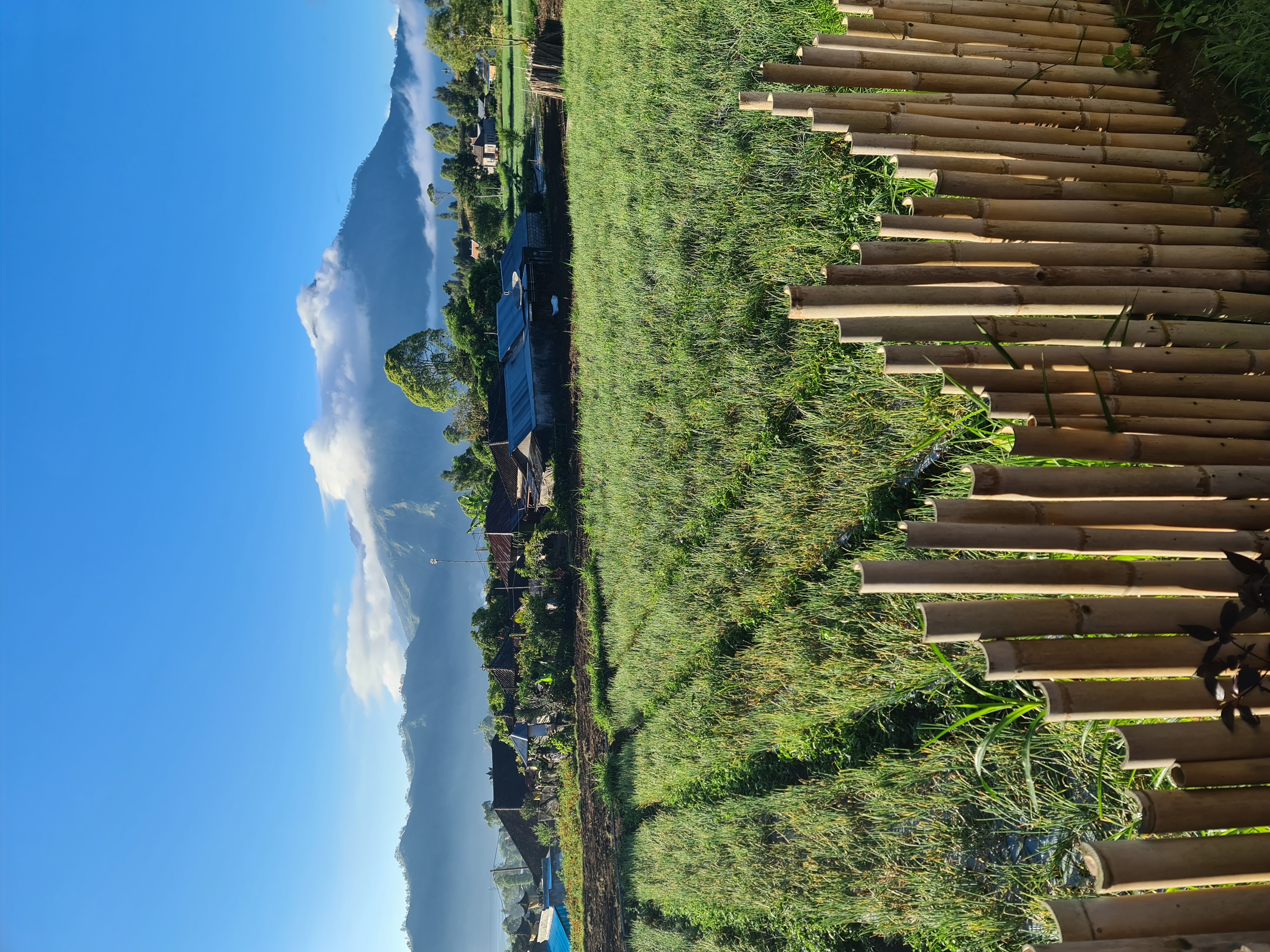 Pemandangan Gunung Abang dari kaki Gunung Batur. Selain mengandalkan wisata, sebagian besar penduduk di kaki Gunung Batur mengandalkan pertanian sebagai mata pencahariannya.