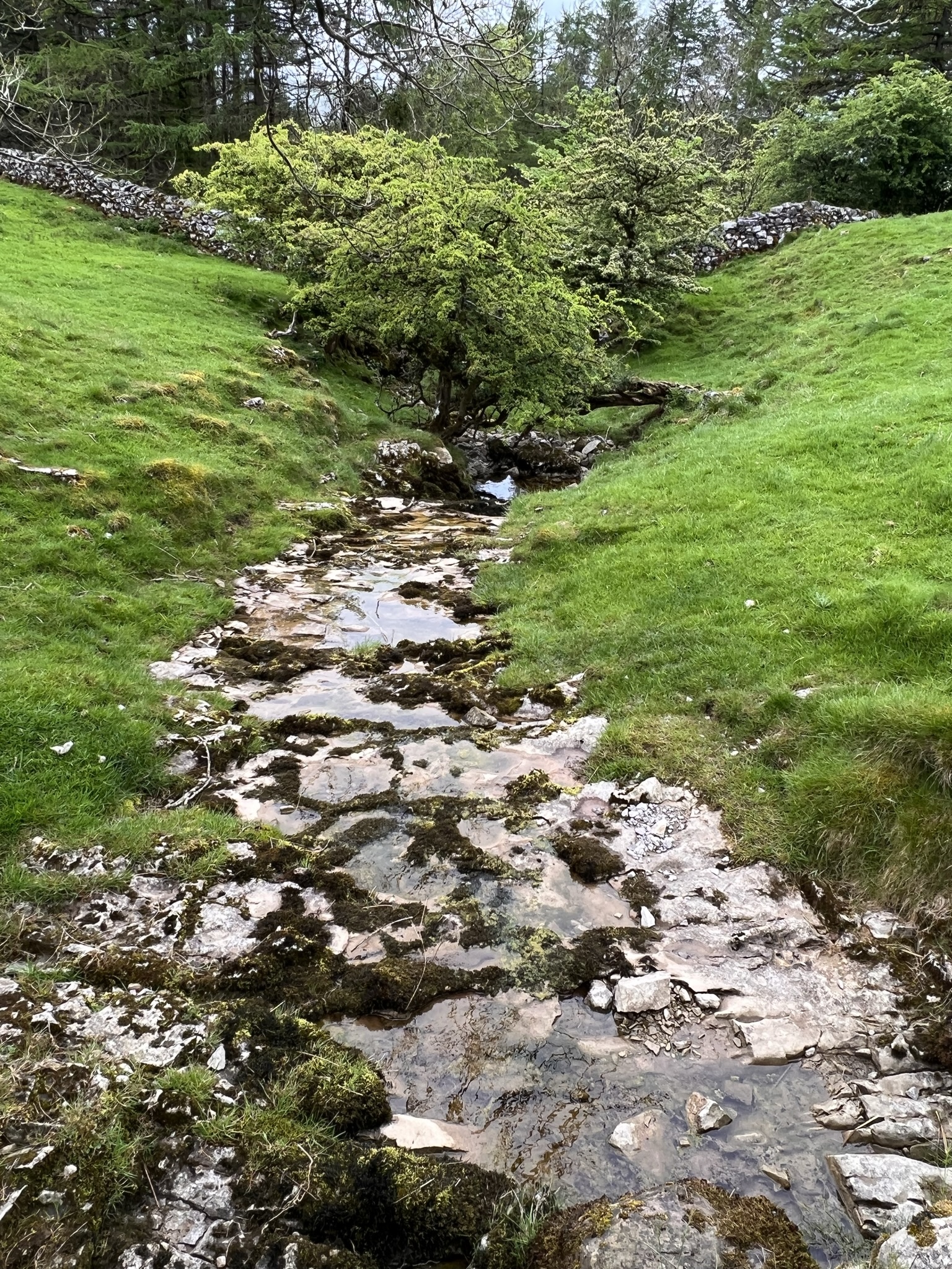 Yorkshire 31/38 - Sungai kecil yang kami lewati, tidak ada sumber air yang bisa dijadikan minum, karena sungainya tidak terlalu bersih