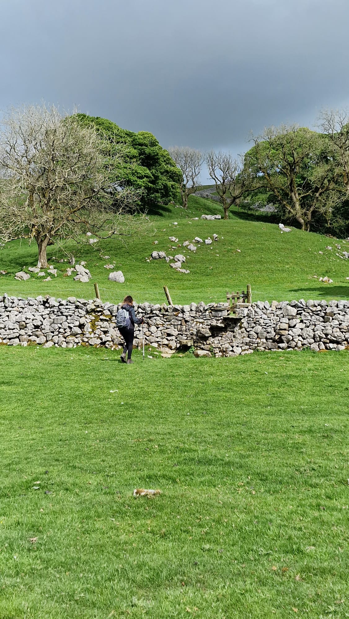Yorkshire 15/38 - Trek hikingnya kebanyakan berbatasan dengan peternakan. Setiap peternakan dibatas oleh pagar dari batu seperti ini.