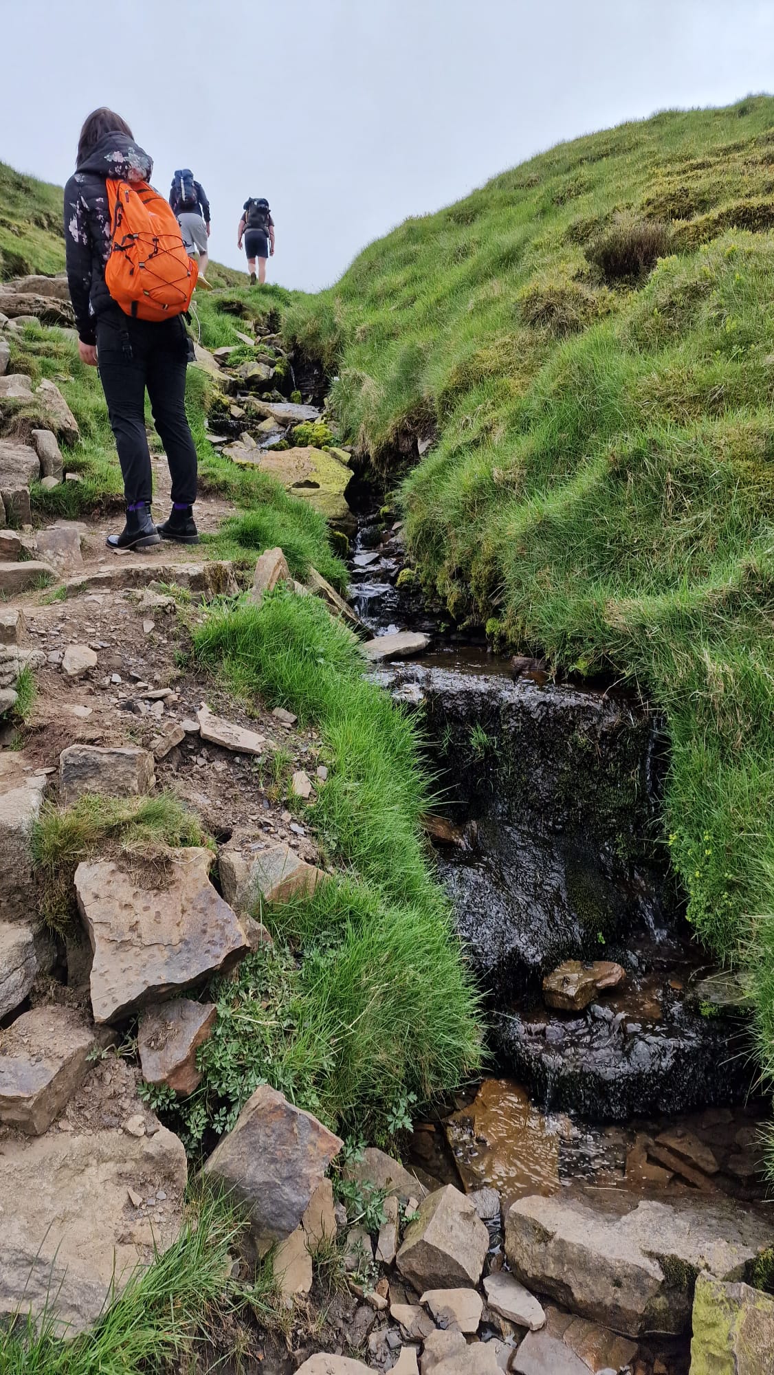 Yorkshire 26/38 - Setelah melewati puncak kedua, trek menjadi beragam, tidak hanya savana dan peternakan luas, kita mulai berjalan diantara jalan setapak diantara aliran-aliran air kecil.